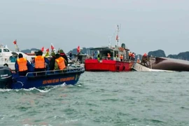 Phó Thủ tướng Thường trực chỉ đạo đề xuất giải pháp xử lý lỗ hổng từ vụ lật tàu Vịnh Xanh 58 ở Quảng Ninh