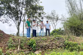 Dặm dài Trường Lũy