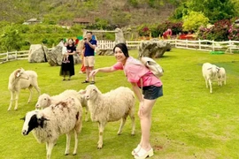 Xu hướng du lịch tối giản lên ngôi trong giới trẻ toàn cầu