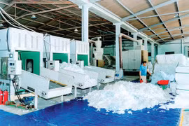 Doanh nhân trẻ tiên phong dấn bước