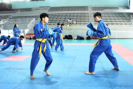 Giải Vô địch Vovinam khu vực miền Trung-Tây Nguyên lần thứ 3: Gia Lai phấn đấu vào top 3