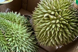 Cadimi 'hung thần' của sầu riêng sẽ bị cấm ở Việt Nam