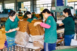 Kỳ tích cao su vươn mình trên xứ sở Angko - Kampong Thom: Kỳ cuối-Đời sống người lao động ngày càng nâng cao