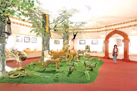 Đổi mới hoạt động bảo tàng