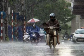 Khu vực Tây Nguyên và Nam Bộ đề phòng mưa lớn, lốc, sét, mưa đá và gió giật mạnh