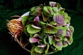 Tác dụng ít người biết của rau dền