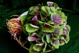 Tác dụng ít người biết của rau dền