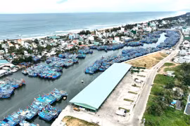 Các xã, phường ven biển: Chung sức, đồng lòng tháo gỡ “thẻ vàng” IUU