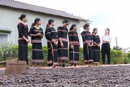 Phụ nữ dân tộc thiểu số phát triển các tổ liên kết sản xuất