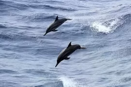 Ra Biển Đông săn những đường bay
