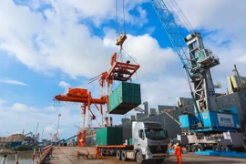 Cảng Quy Nhơn chuyển mình theo hướng cảng xanh
