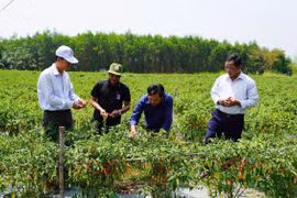 Quyết tâm mới ở những địa phương sáp nhập: Bắt tay hành động từ ngày đầu, tháng đầu