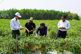 Quyết tâm mới ở những địa phương sáp nhập: Bắt tay hành động từ ngày đầu, tháng đầu
