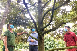 Ia Khươl tạo nền tảng vững chắc cho giai đoạn mới