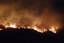 Phó Thủ tướng Chính phủ Trần Hồng Hà chỉ đạo tập trung khắc phục hậu quả do cháy rừng tại Quảng Ninh