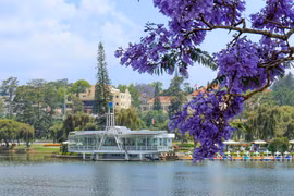 Về chốn cao nguyên