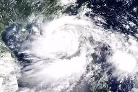 Năm 2025 có bao nhiêu cơn bão đổ bộ vào Việt Nam?