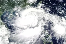Năm 2025 có bao nhiêu cơn bão đổ bộ vào Việt Nam?