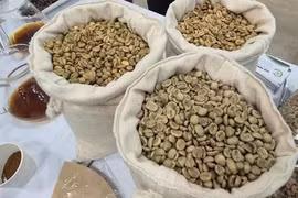 Giá cà phê hôm nay 22-4: Thuế đối ứng của Mỹ vẫn 'ám ảnh'