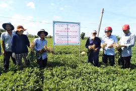 Khai thác tiềm năng, thế mạnh để phát triển nông nghiệp bền vững