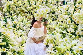 Với hơn 2.000 bông loa kèn, góc nhà biến thành vườn hoa 'độc nhất'