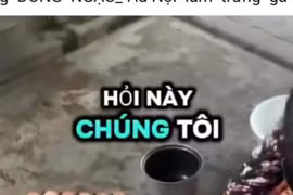 Hiệp hội Gia cầm Việt Nam lên tiếng về thông tin 'trứng gà giả'