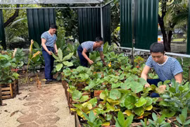 Trường Sa: Vững vàng nơi đầu sóng - Kỳ II: “Hòn ngọc” xanh giữa biển Đông