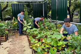Trường Sa: Vững vàng nơi đầu sóng - Kỳ II: “Hòn ngọc” xanh giữa biển Đông