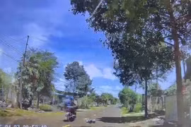 CLIP: Thót tim với cảnh cháu bé 3 tuổi chạy qua đường, bị xe tông văng xa