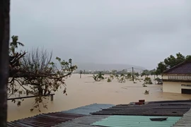 Thủ tướng ra Công điện chỉ đạo tập trung ứng phó với lũ trên sông Ba ở Đắk Lắk và sông Kôn ở Gia Lai