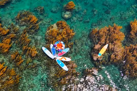 'Trốn' phố thị ồn ào, về Quy Nhơn ngắm rong mơ nhuộm vàng đáy biển