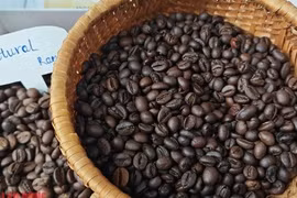 Giá cà phê hôm nay 4-4: Áp lực tâm lý