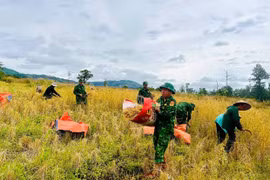 Điểm sáng dân vận ở vùng biên Ia Chia