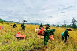 Điểm sáng dân vận ở vùng biên Ia Chia