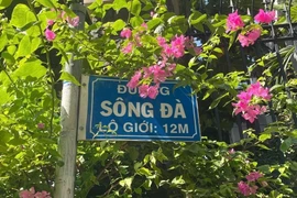 Sống ở TP.HCM: Độc lạ quận Tân Bình có nhiều con đường tên sông
