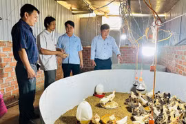 Nâng cao chất lượng đào tạo nghề cho lao động dân tộc thiểu số