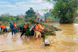 Thành lập Cổng Thông tin điện tử Ban Chỉ đạo Phòng thủ dân sự quốc gia