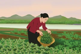Rau dại quê nhà