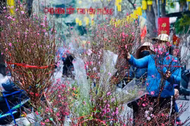 Bộ Nội vụ thông báo lịch nghỉ Tết Nguyên đán và Quốc khánh năm 2026