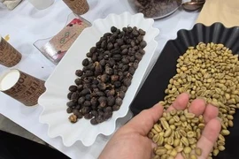 Giá cà phê hôm nay 3-5: Quay đầu tăng, thị trường khó lường