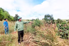 Chuyển biến tích cực trong quản lý, bảo vệ rừng