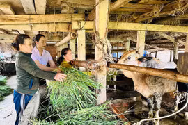 Điểm tựa để người dân giảm nghèo bền vững