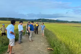 Cụ bà bị sét đánh tử vong trên cánh đồng