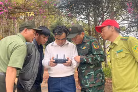 Dùng Flycam để kiểm tra rừng và trật tự xây dựng trên địa bàn Đà Lạt
