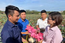 Tín dụng chính sách ủy thác qua các hội, đoàn thể: Nhanh, chính xác và hiệu quả