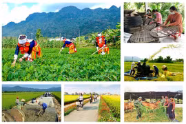 Lập Ban Chỉ đạo Trung ương các chương trình mục tiêu quốc gia giai đoạn 2021-2025