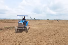 Linh hoạt sản xuất vụ mùa thích ứng với diễn biến thời tiết