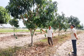 Gương sáng vượt khó làm giàu ở xã Uar