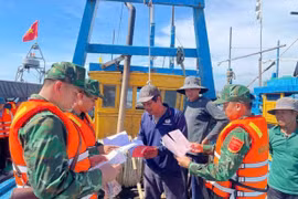 Quyết liệt hành động, xử lý triệt để vi phạm IUU