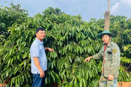 Điểm sáng trong phong trào học tập và làm theo gương Bác